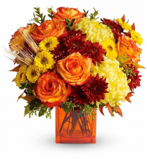 F100 - Fall Radiance Fresh Arrangement 