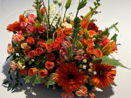 Fall Roses Galore 