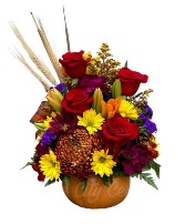 Fall Sensation orange pumpkin