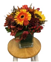 Fall Special  