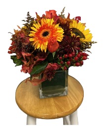 Fall Special  