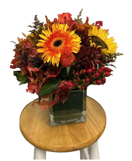 Fall Special  