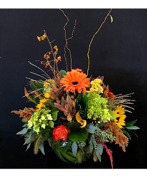 Fall Splendor 