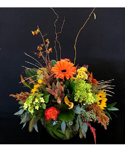 Fall Splendor 