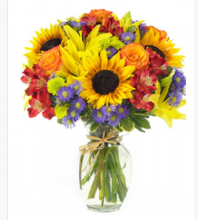 Fall splendor  Mixed fall flowers