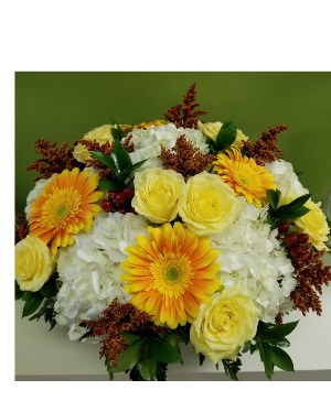Fall Sunburst 