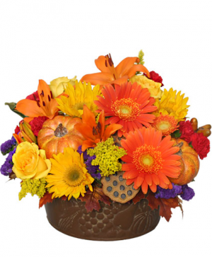 FALL SURPRISE 