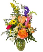 Fall Surprise 
