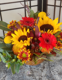 Fall Traditions Beautiful Fall Mix