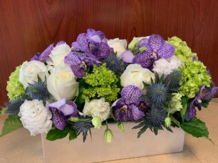 Falling for Purple 