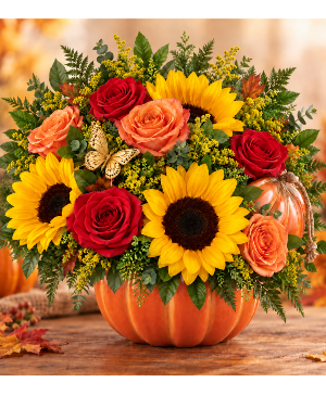 Falling for You Pumpkin Call Us for Faster Service & Daily Specials: (915) 303-8500 Text Us to Order Anytime: (915) 505-3708 Your trusted source for Flowers & Delivery in El Paso TX 