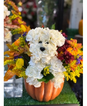 Falling in Love with Puppy Fall Florals