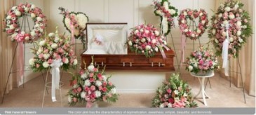 Family collection assorted flowers