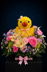 Fan-Quackstic Surprise 