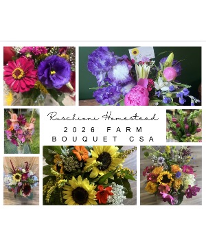 Farm Bouquet CSA 8wk=2x/month