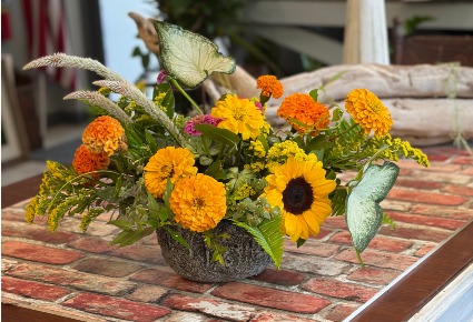 Field  to Table Ceramic Arrangement