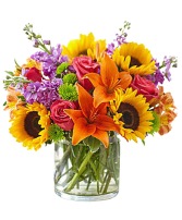 Farmers Choice  Bright & Sunny