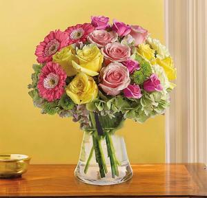 Fashionista Blooms  