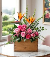 Fashionista Enchanted Design