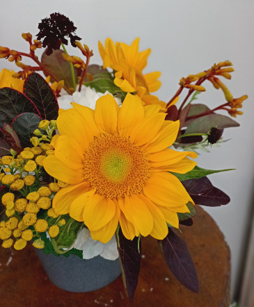 Father's Day Stunner Designer's Choice in Glastonbury, CT | THE FLOWER DISTRICT