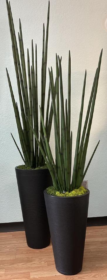 Urban Serenity in Black Pot  in Bonita Springs, FL | A FLOWER BOUTIQUE