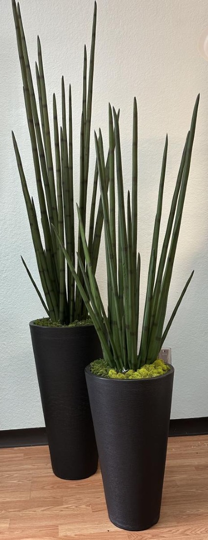 Urban Serenity in Black Pot 