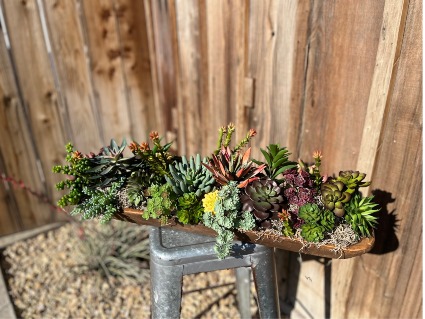 Sequoia Plaza Flowers