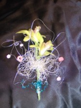   in Spring Green, WI | Prairie Flowers & Gifts