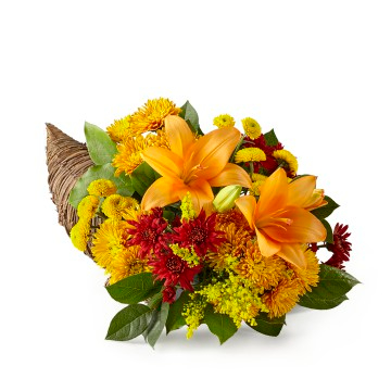 Feast of Color Cornucopia 