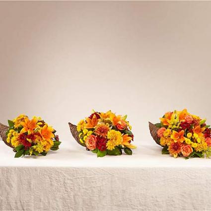 FEAST OF COLOR CORNUCOPIA Thanksgiving