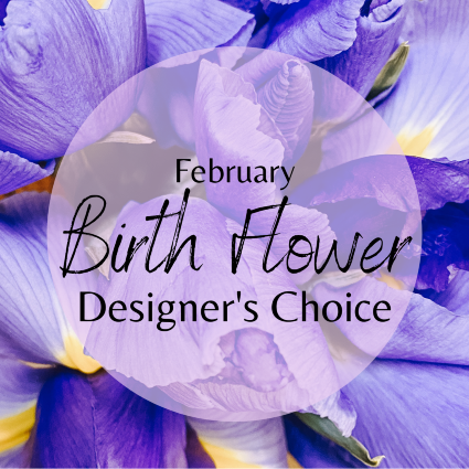 SF February Birth Flower Designer's Choice Designer's Choice