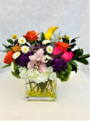 Festive  Arrangment