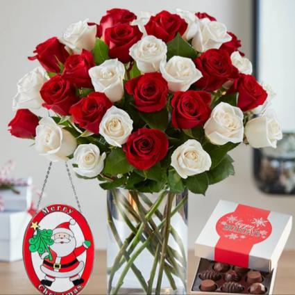 Festive blooms  