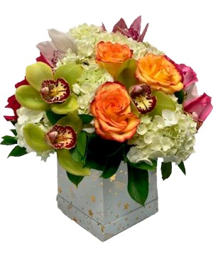 FESTIVE BLOOMS 