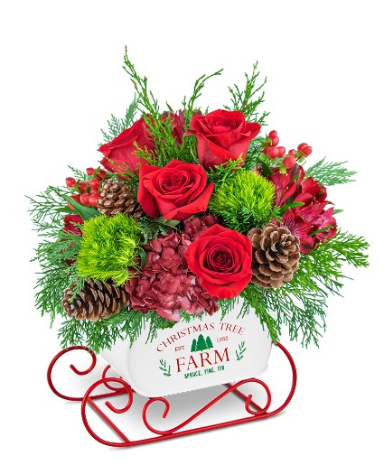 Festive Cranberry Keepsake Sleigh Flower Arrangement