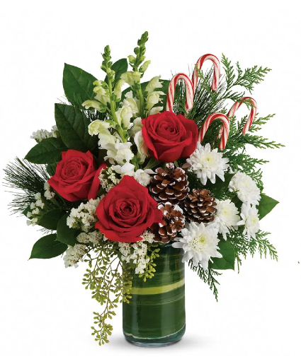 Festive Pines Bouquet  Christmas 