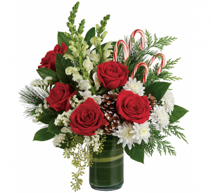 Festive Pines Christmas Arrangement