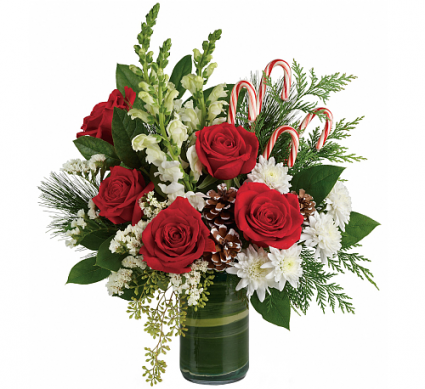 Festive Pines Christmas Arrangement
