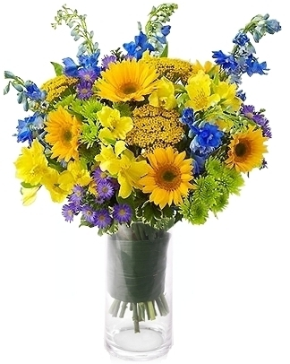 Field of europe  in Shafter, CA | SUN COUNTRY FLOWERS