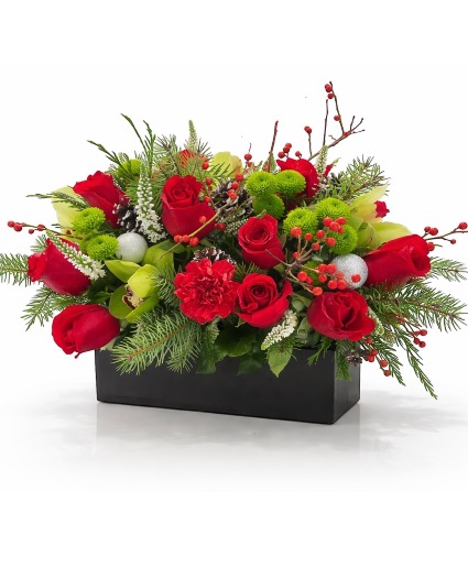 Field of Europe Holiday Christmas Holiday