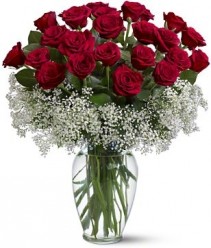 Field of Roses Flowers Rose Arrangement