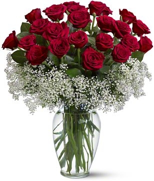 Field of Roses Flowers Rose Arrangement