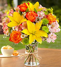 Midwestern Garden A Classic Favorite