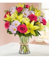 161871 FIELDS OF EUROPE SPRING 