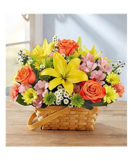 Fields Of Europe Basket 