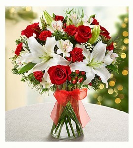 Red & White Fields of Europe  Winter Blooms