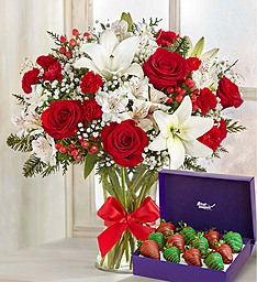 FIELDS OF EUROPE CHRITMAS WITH STRAWBERRIES 