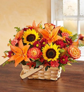 Fields of Europe Fall Basket