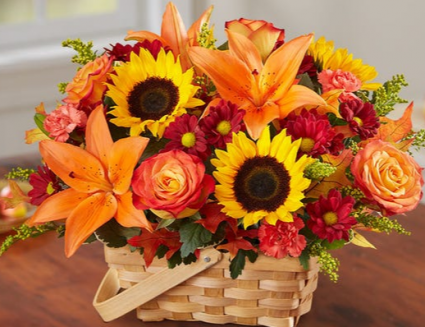 Fields of Europe for Fall Basket 