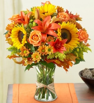 FIELDS OF EUROPE FOR FALL From Roma Florist  
